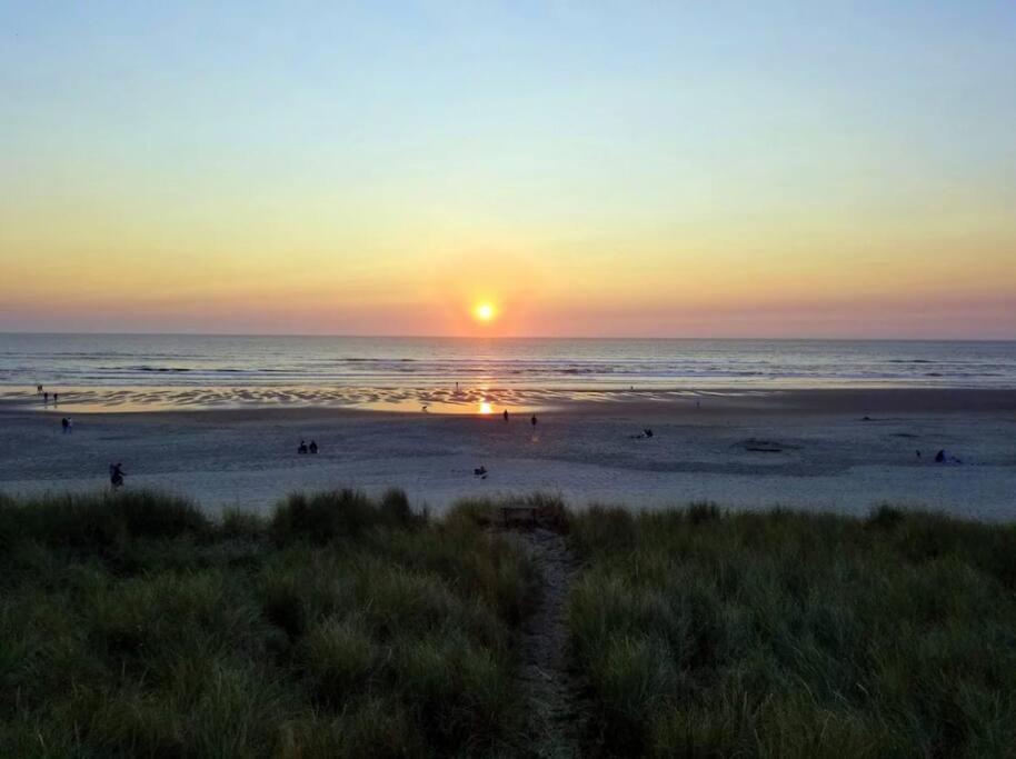 Tiki Escape W/ Amazing Mountain And Marsh Backdrop * Rockaway Beach